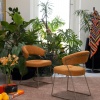 NY anniversary dining chair - myhome